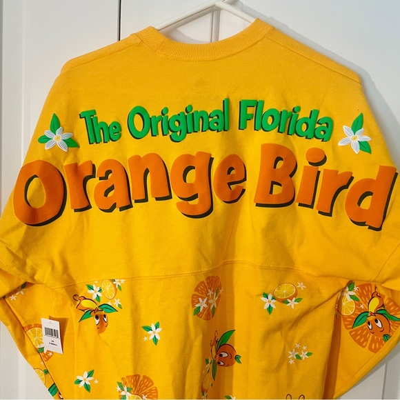 NEW! Disney x Spirit Jersey - Picture 4 of 11